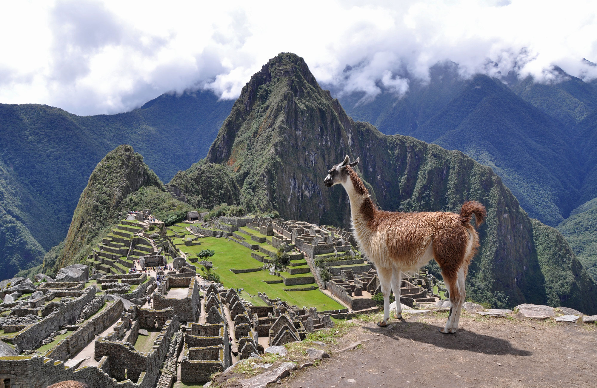 Uitzicht over Machu Picchu met lama | KILROY